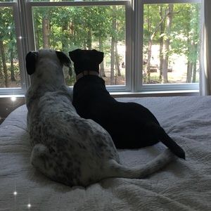 Meet your Posher, Claudia